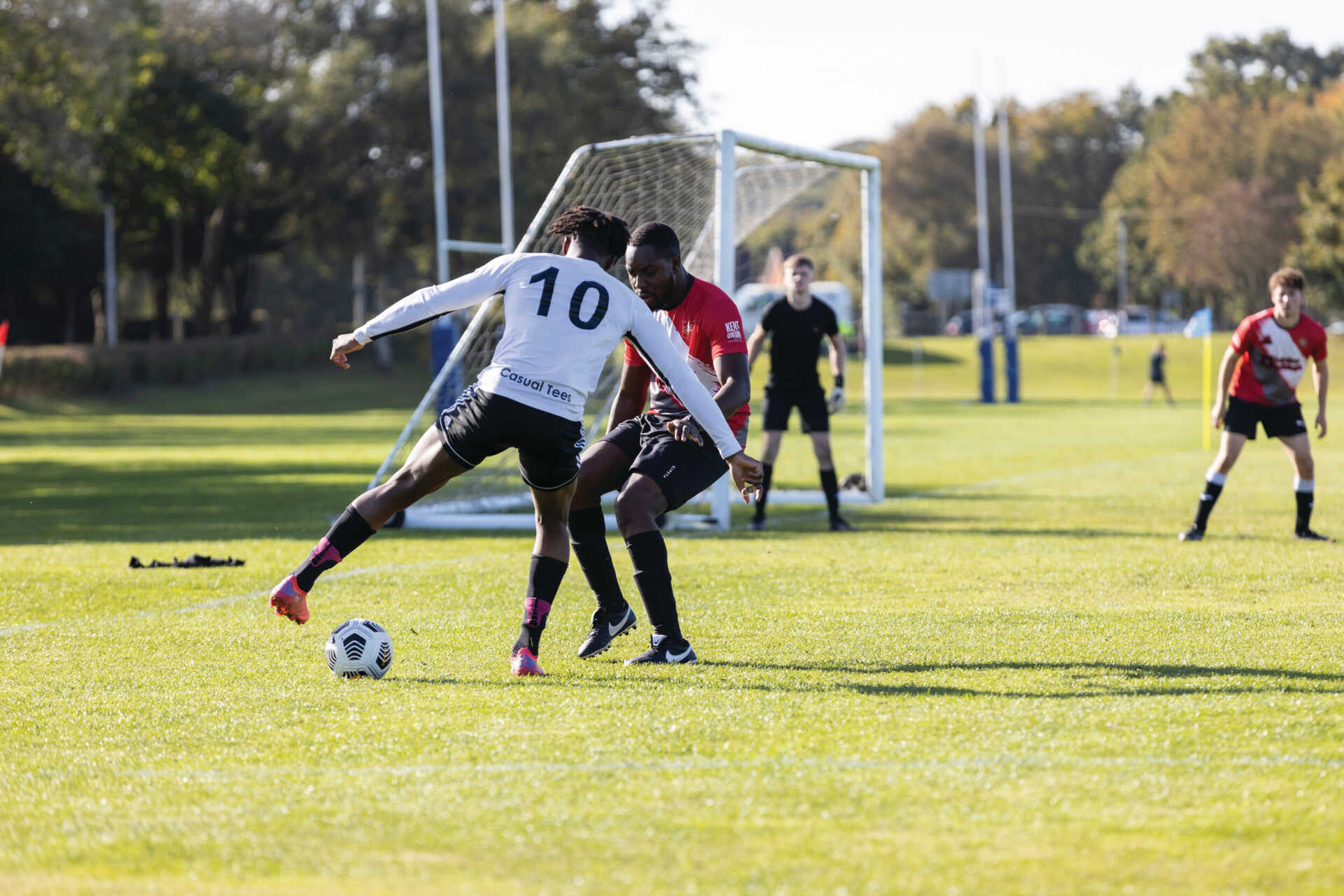 缺乏不仅会 缺乏不仅会