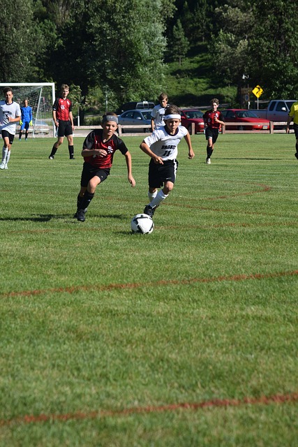 的青训体系 的青训体系