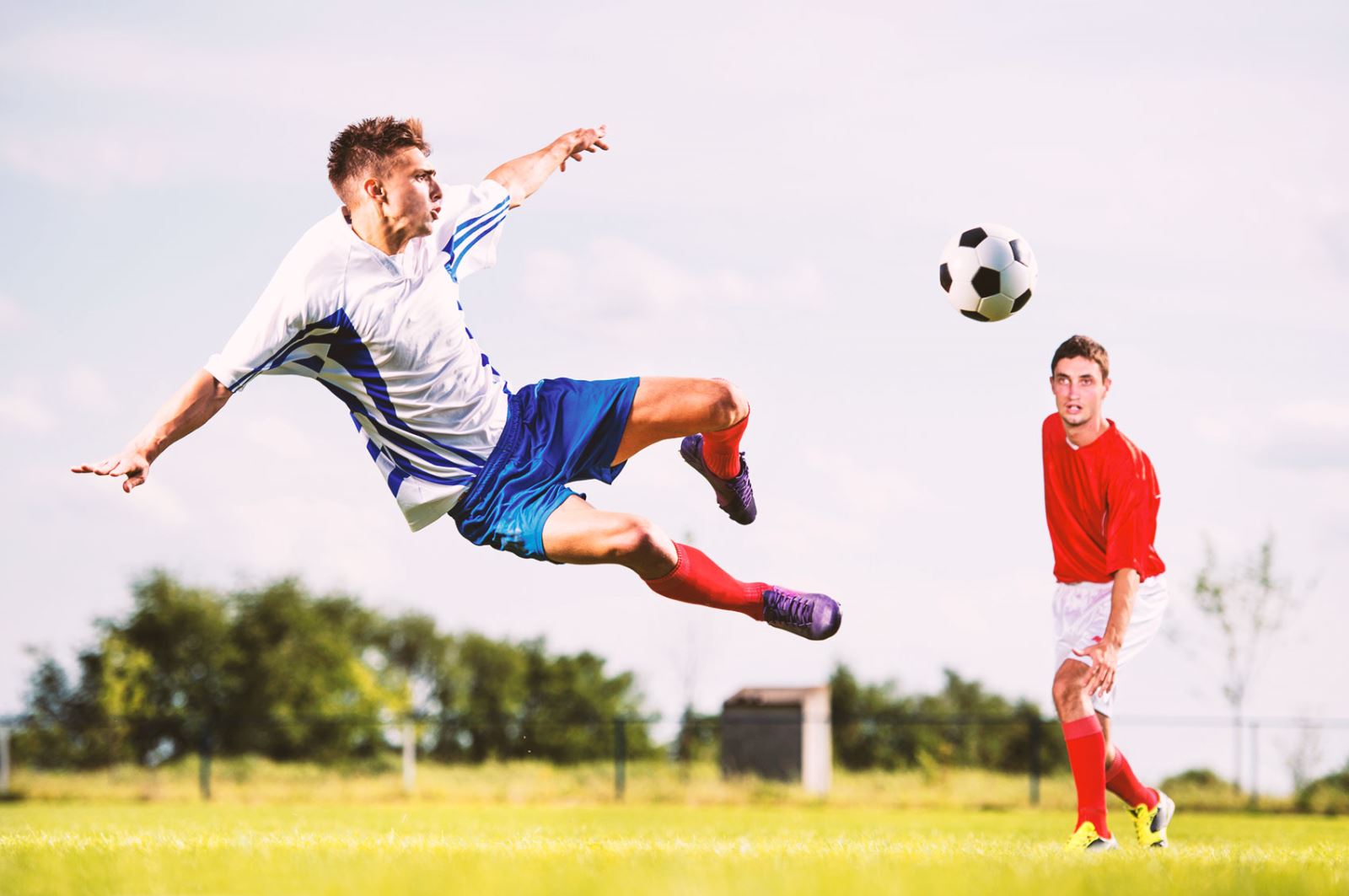 他们不仅是 他们不仅是