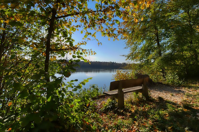 字母哥和利拉德合計送出24次助攻，裏弗斯稱贊他們表現出色.