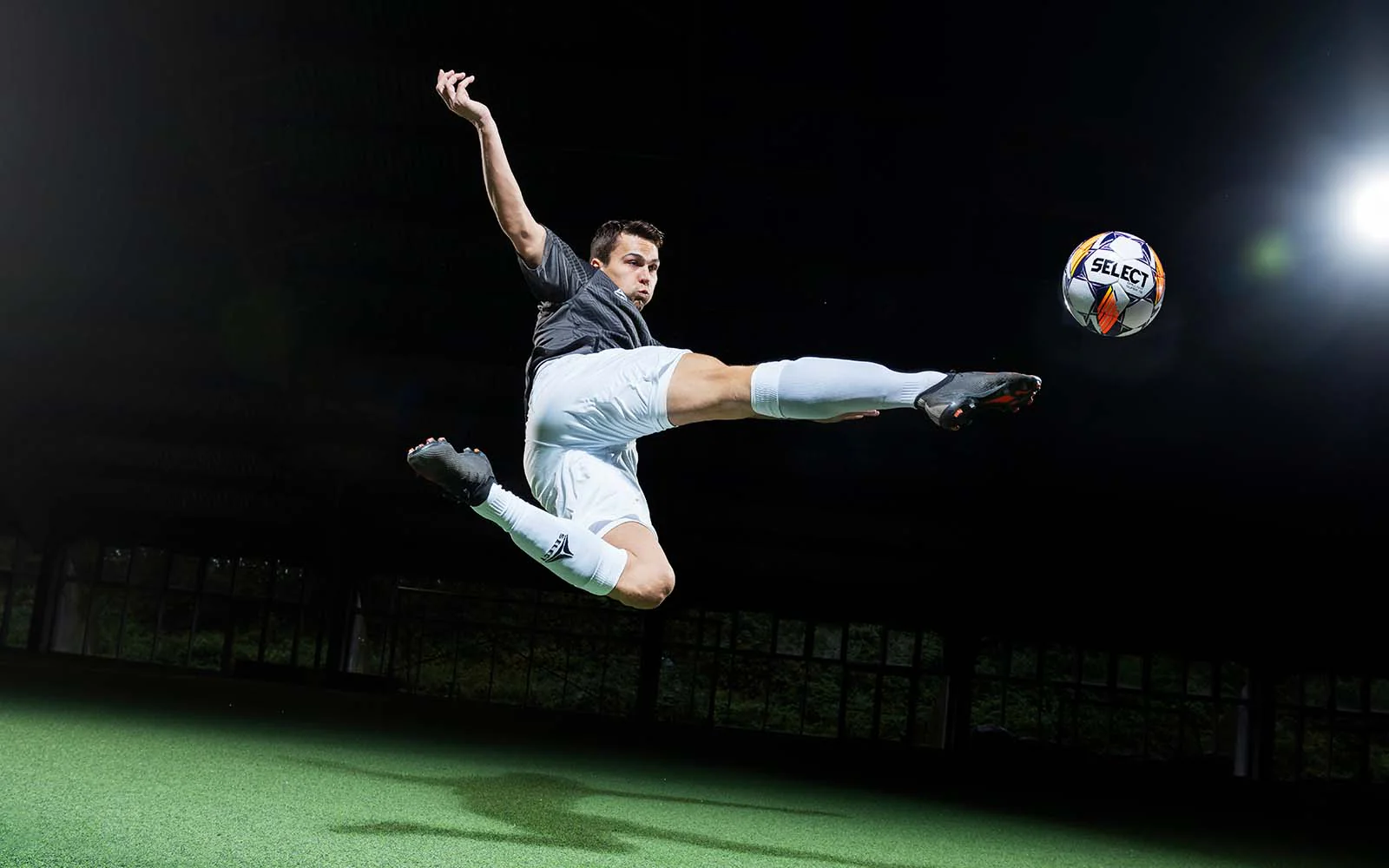 根基意味着 根基意味着