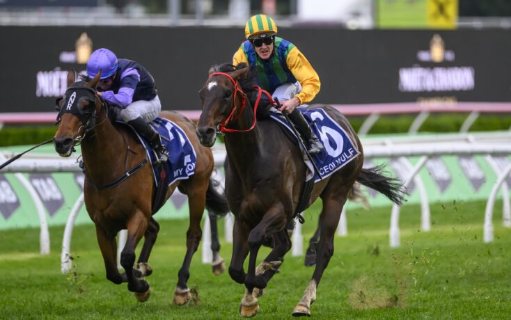 文旅和崔康 文旅和崔康