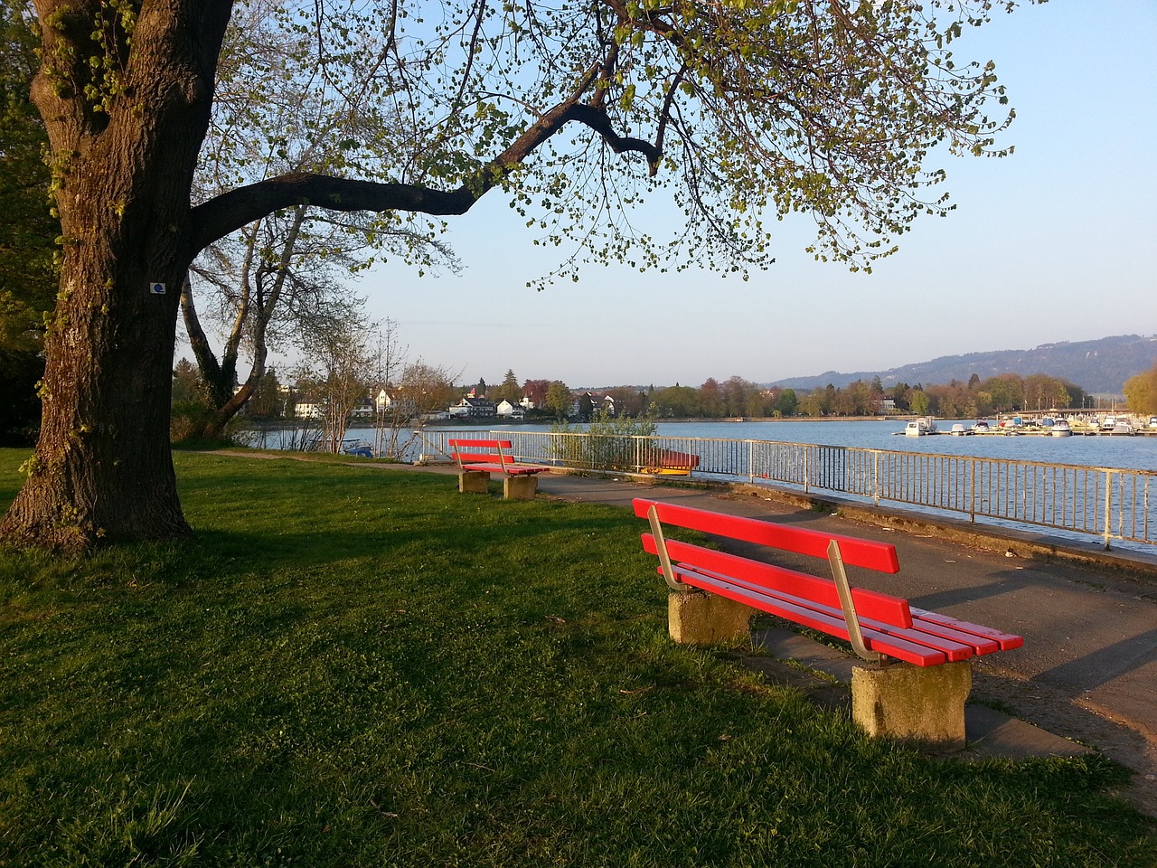 赛事背景及 赛事背景及