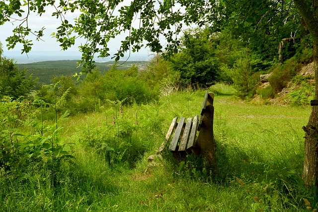 细节决定成 细节决定成